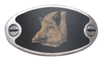 Cas Wildschwein_3696